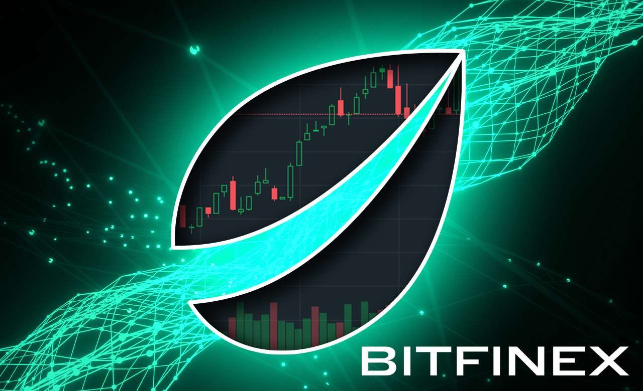 banniere avis bitfinex